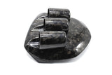 Gloss Forged Carbon Triple Gauge Top Hat to Suit Ford Falcon FG/X MK2